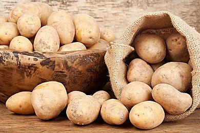 重大改变！《中世纪王朝》合作模式更新：12月7日在“U型河道”的全新多人冒险！